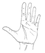 число 5