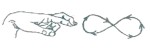 знак «запутался»