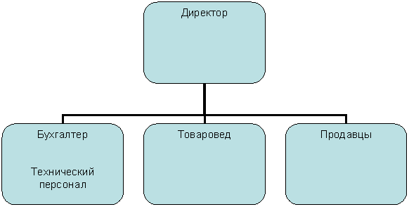 Организационная диаграмма
