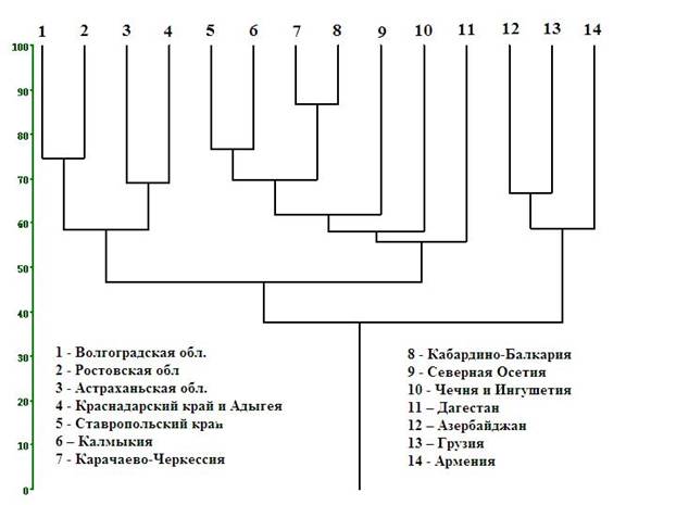 F:\все\ОЛЕЙНИК\дендрограмма сопредельных регионов.JPG