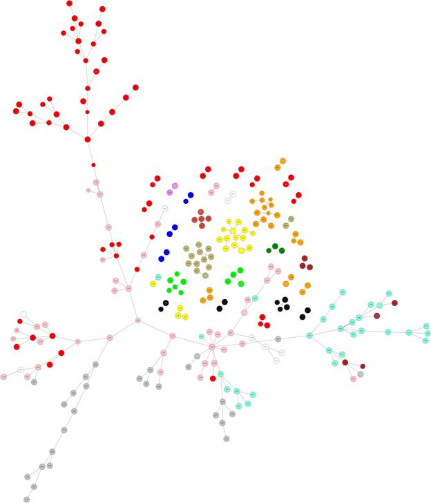 D:\Моё\Работа\Лаборатория\Задания\Mirkin\35trees_31medians.png