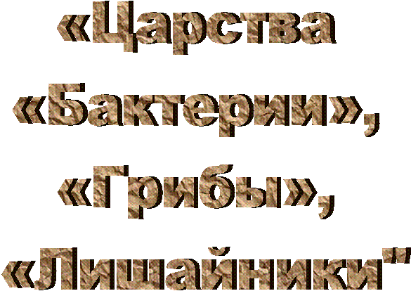 «Царства
«Бактерии»,
«Грибы»,
«Лишайники"