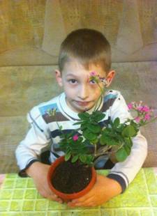 D:\ФОТО\растения\IMG_0263.JPG
