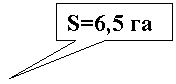 Прямоугольная выноска: S=6,5 га