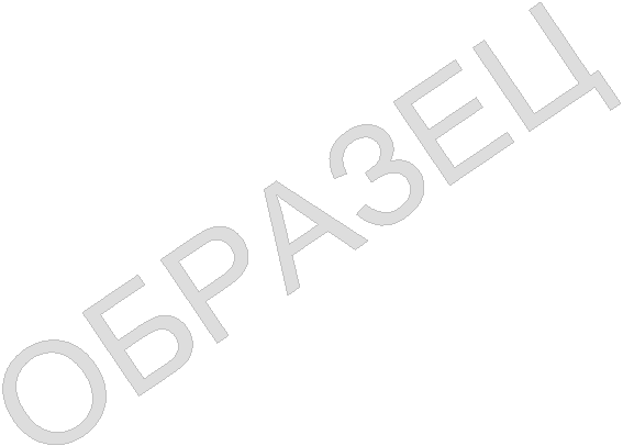ОБРАЗЕЦ