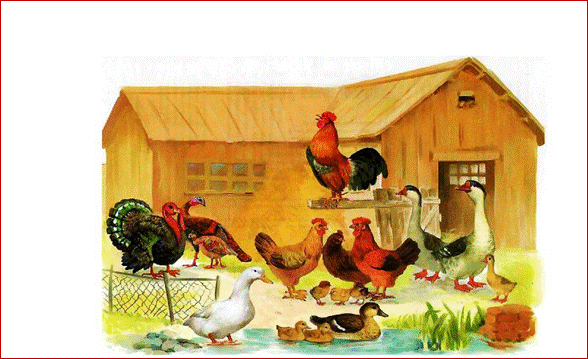 http://www.xxlbook.ru/imgh1584501.png