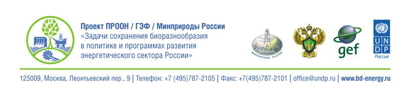 blank-READY-2